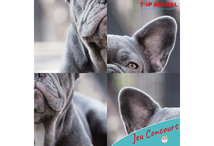 JEU CONCOURS SPECIAL ANNIVERSAIRE TOP ANIMAL DIGNE 
